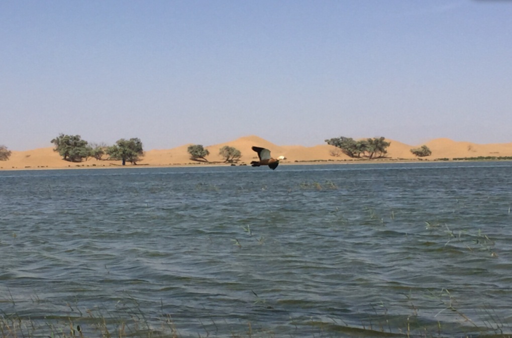 1467797010126569.jpg Îðµ¡ÎðÍü.jpg